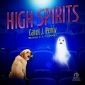 Cover: High Spirits - Tantor Audio