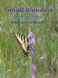 Cover: Small Wonders - WordCrafter Press