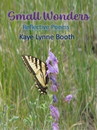 Enlarge image Cover: Small Wonders - WordCrafter Press