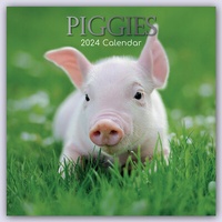 Abbildung von: Piggies - Ferkel Schweine 2024 - 16-Monatskalender - Brown Trout-Auslieferer Flechsig
