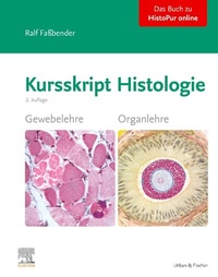 Abbildung von: Kursskript Histologie - Urban & Fischer