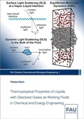 Cover: Thermophysical Properties of Liquids with Dissolved Gases as Working Fluids in Chemical and Energy Engineering - FAU University Press