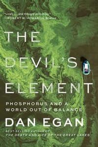 Abbildung von: The Devil's Element - WW Norton & Co