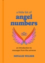 Cover: A Little Bit of Angel Numbers - Union Square & Co.