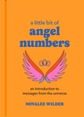 Cover: A Little Bit of Angel Numbers - Union Square & Co.