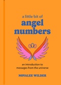 Cover: A Little Bit of Angel Numbers - Sterling Ethos
