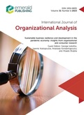 Cover: Sustainable Business Resilience and Development in the Pandemic Economy - Emerald Publishing Limited