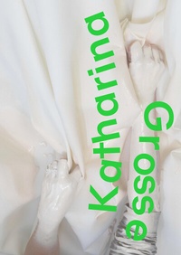 Abbildung von: Katharina Grosse - Hirmer
