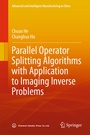 Cover: Parallel Operator Splitting Algorithms with Application to Imaging Inverse Problems - Springer