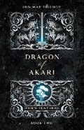 Cover: Dragon of Akari - Brien Feathers