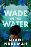 Cover: Wade in the Water - Collins