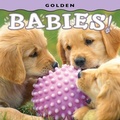 Cover: Golden Babies! - Farcountry Press