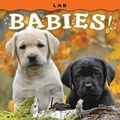Cover: Lab Babies! - Farcountry Press