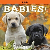 Enlarge image Cover: Lab Babies! - Farcountry Press