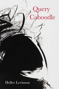 Enlarge image Cover: Query Caboodle - Black Widow Press
