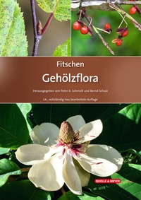 Abbildung von: Fitschen - Gehölzflora - Quelle & Meyer