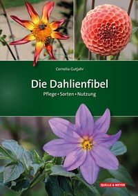 Abbildung von: Die Dahlienfibel - Quelle & Meyer