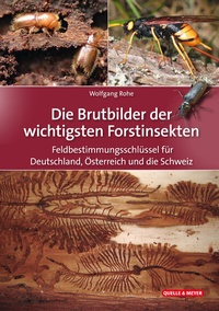 Abbildung von: Die Brutbilder der wichtigsten Forstinsekten - Quelle & Meyer