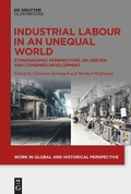 Cover: Industrial Labour in an Unequal World - De Gruyter Oldenbourg