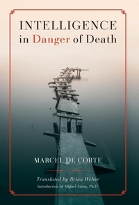 Enlarge image Cover: Intelligence in Danger of Death (English edition) - Arouca Press