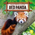 Cover: Red Panda - Starfish