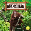 Cover: Orangutan - Starfish