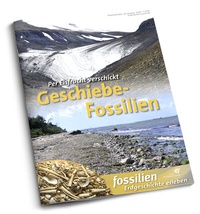 Abbildung von: Geschiebe-Fossilien - Quelle & Meyer