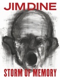 Cover: Storm of Memory - Steidl