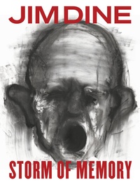 Enlarge image Cover: Storm of Memory - Steidl