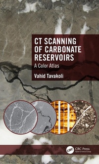 Abbildung von: CT Scanning of Carbonate Reservoirs - CRC Press