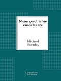 Cover: Naturgeschichte einer Kerze - Librorium Editions