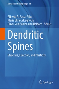 Abbildung von: Dendritic Spines - Springer