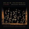 Cover: Black Pastoral - Cokesbury
