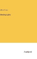 Cover: Blending Lights - Anatiposi Verlag