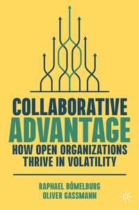 Abbildung von: Collaborative Advantage - Palgrave Macmillan