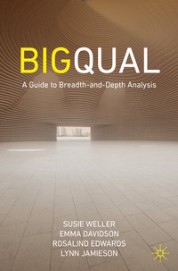 Abbildung von: Big Qual - Palgrave Macmillan