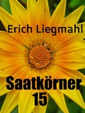 Cover: Saatk&ouml;rner 15 - Books on Demand