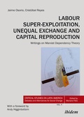 Cover: Labour Super-Exploitation, Unequal Exchange, and Capital Reproduction - ibidem
