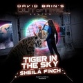 Cover: Tiger in the Sky - Glen David Brin