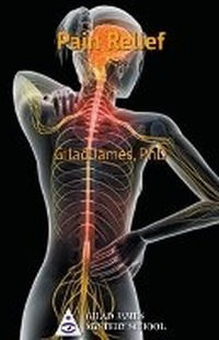 Enlarge image Cover: Pain Relief - Gilad James