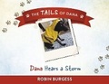 Cover: Dana Hears a Storm - Bookbaby