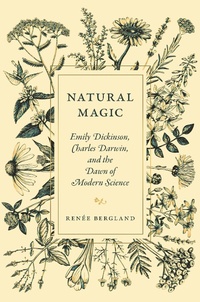 Enlarge image Cover: Natural Magic - Princeton University Press