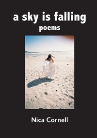 Abbildung von: A sky is falling - Mwanaka Media and Publishing
