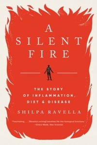 Abbildung von: A Silent Fire - WW Norton & Co