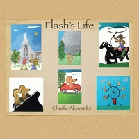Enlarge image Cover: Flash's Life - Xlibris Corporation