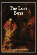 Cover: The Lost Boys - Climbing Angel Publishing