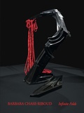 Cover: Barbara Chase-Riboud. Infinite Folds - K&ouml;nig, Walther