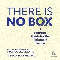 Enlarge image Cover: There Is No Box - Ascent Audio