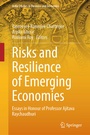 Cover: Risks and Resilience of Emerging Economies - Springer