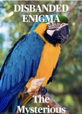 Cover: Disbanded Enigma - 3p financial network corporation